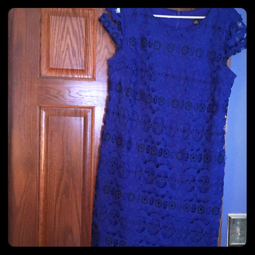 Royal Blue Lace Shift Dress